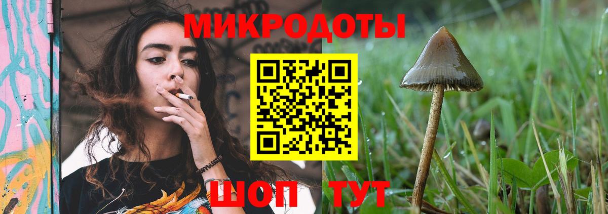 Псилоцибиновые грибы мицелий  купить наркотик  Калуга  Вход с VPN 